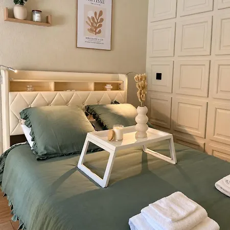 Duplex Cosy Au Coeur De Avec Parking Apartment Troyes